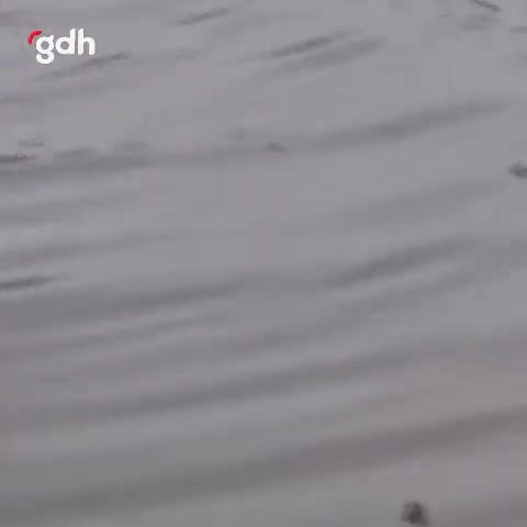 Şanlıurfa'daki selde mahsur kalan vatandaş kendi kendini kurtardı