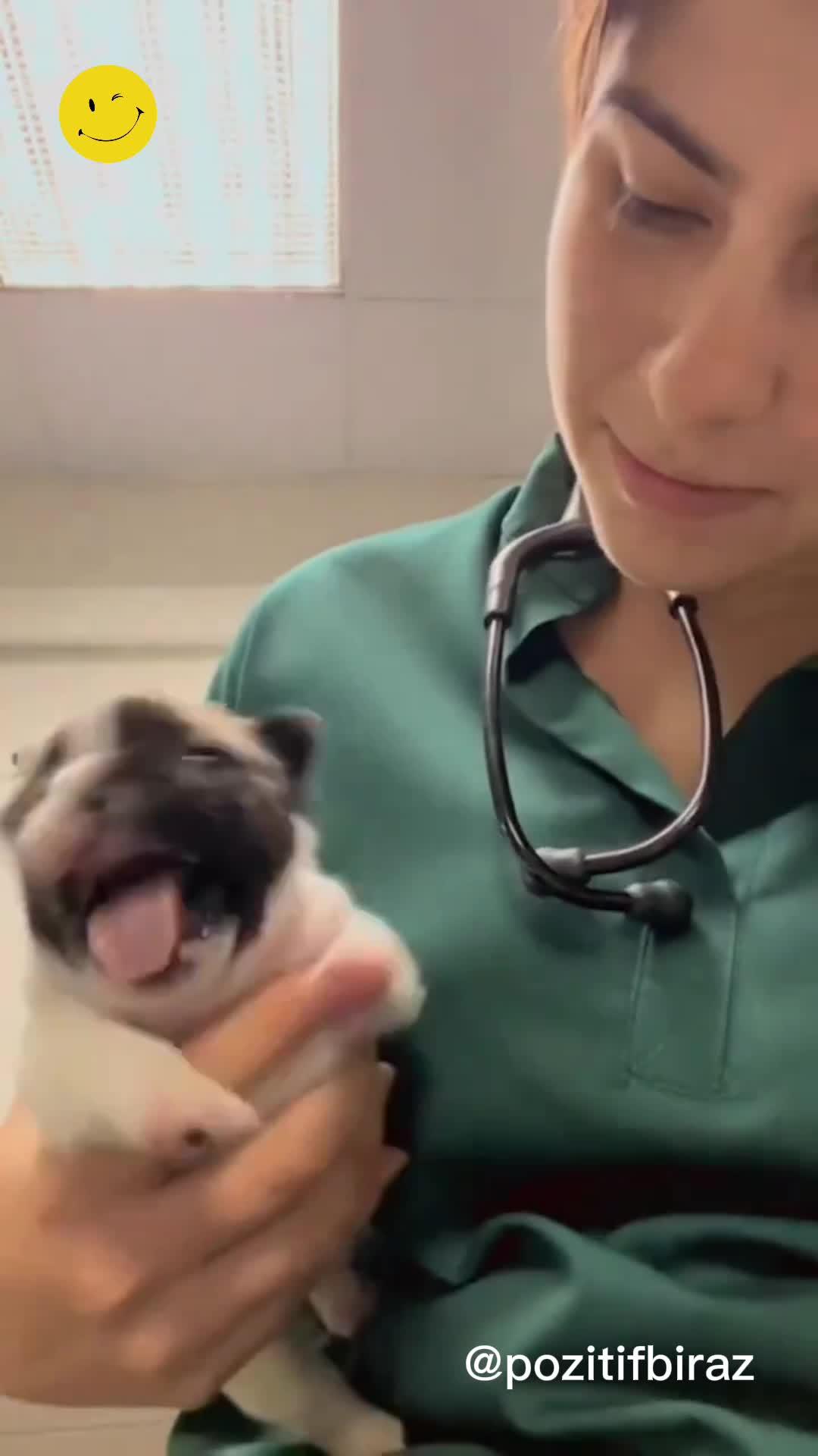 İlaç içiren köpeğin sevimli halleri izleyenleri güldürdü