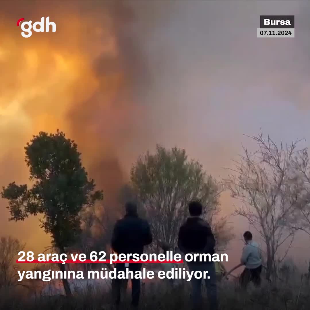 Bursa'da Karacabey ve Büyükorhan'da orman yangınları çıktı