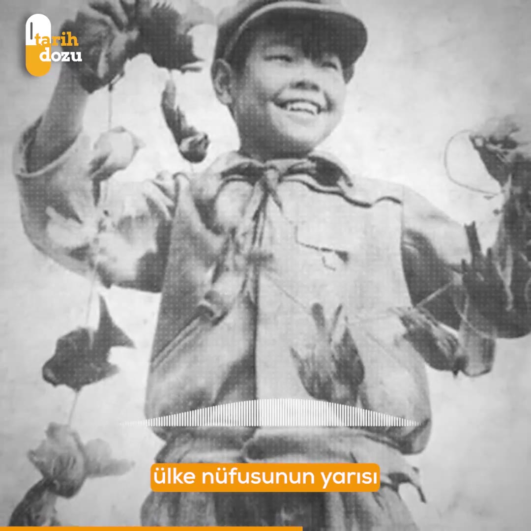 Mao Dönemi'nde "Dört Haşere Kampanyası" ve Ekolojik Denge