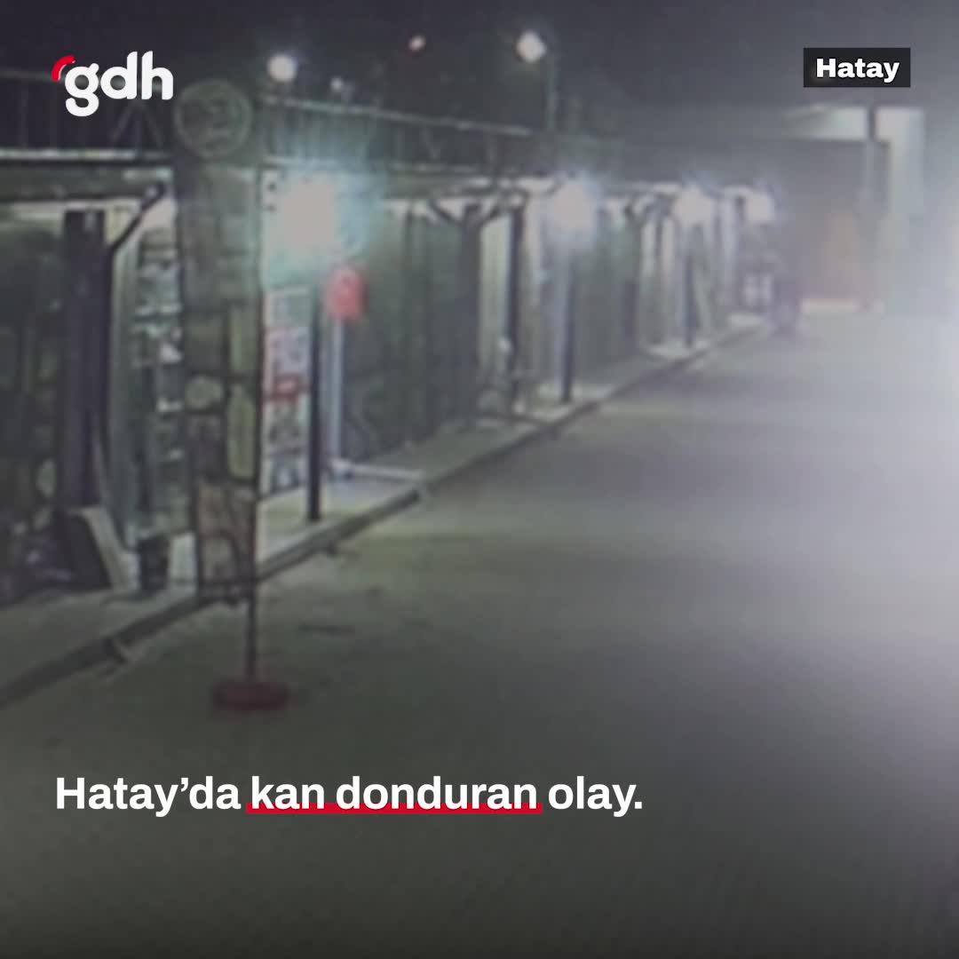 Hatay'da madde bağımlısı, 3 yavru kediyi köpeklere yedirdi