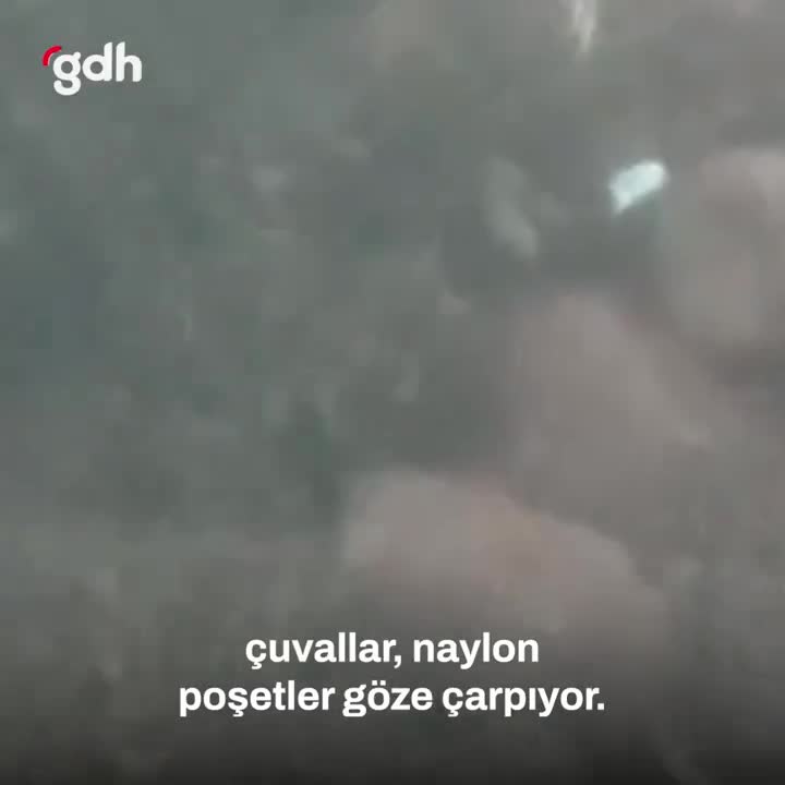 İzmir Körfezi Tehlikede: Atıklar Balıkların Ölümüne Neden Oluyor