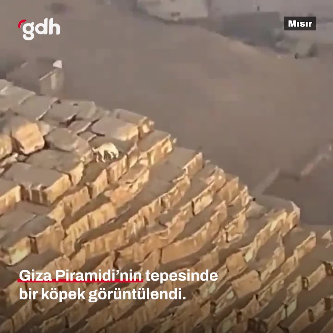 Giza Piramidi'nde köpek ve turisti paraşütle görüntülendi