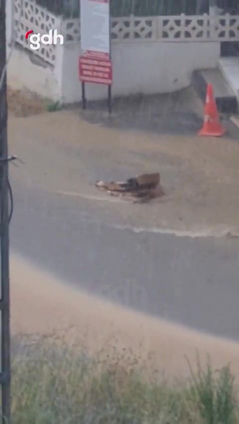 Sinop'ta sağanak sonrası sel: Caddeler göle döndü
