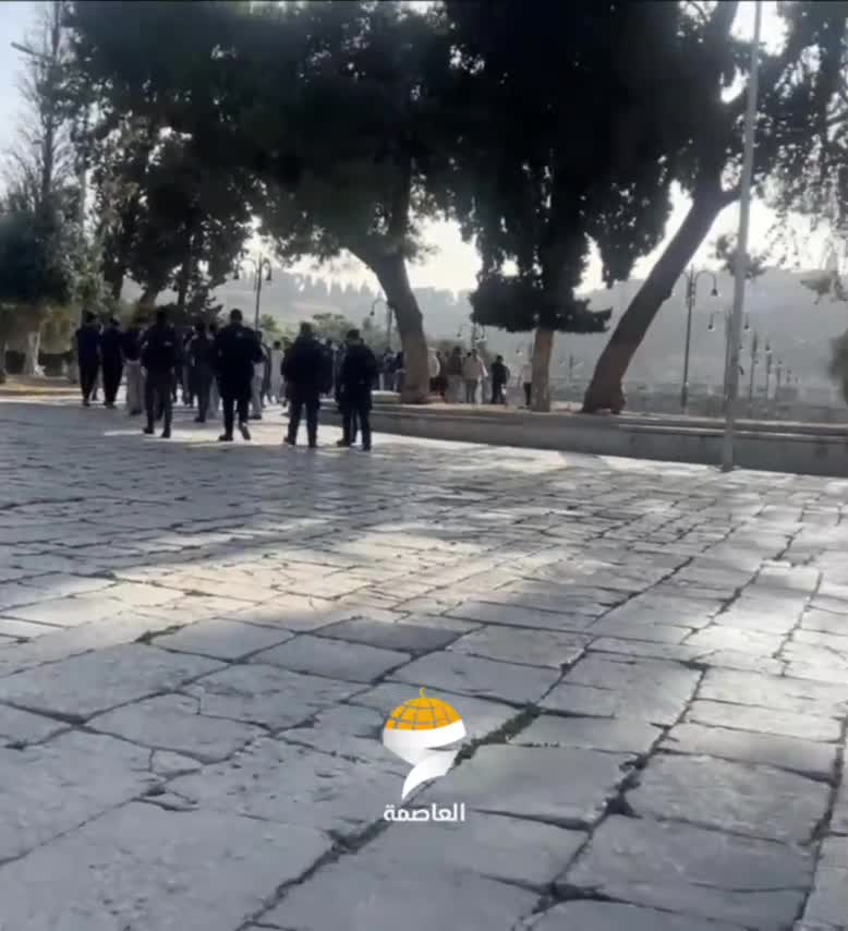 Yahudi yerleşimciler Mescid-i Aksa'ya baskın yaptı