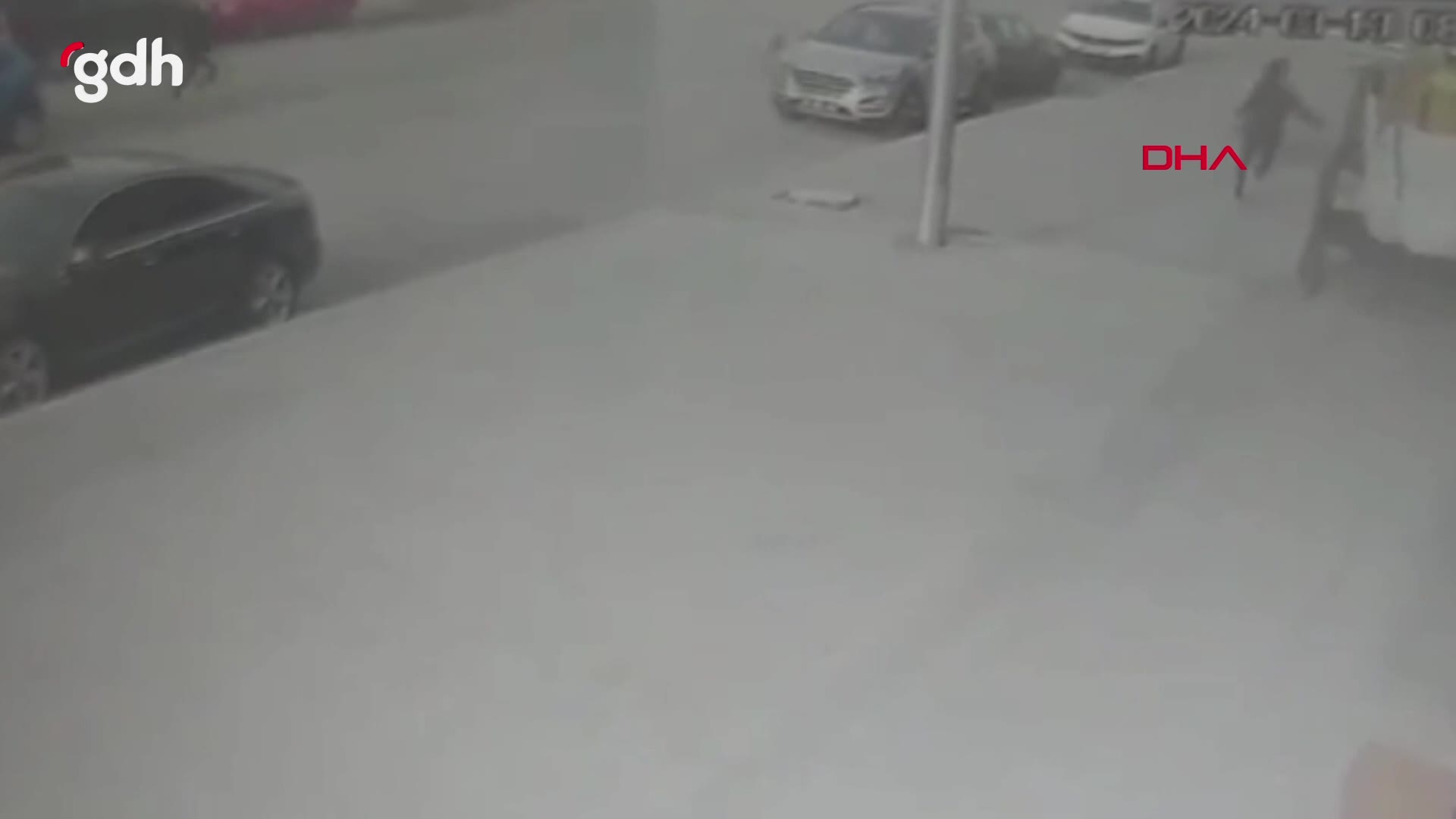 Erzincan'da ilkokul öğrencisine 5 başıboş köpek saldırdı
