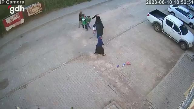 Ceylanpınar'da başıboş köpek, 4 yaşındaki kız çocuğunu yaraladı