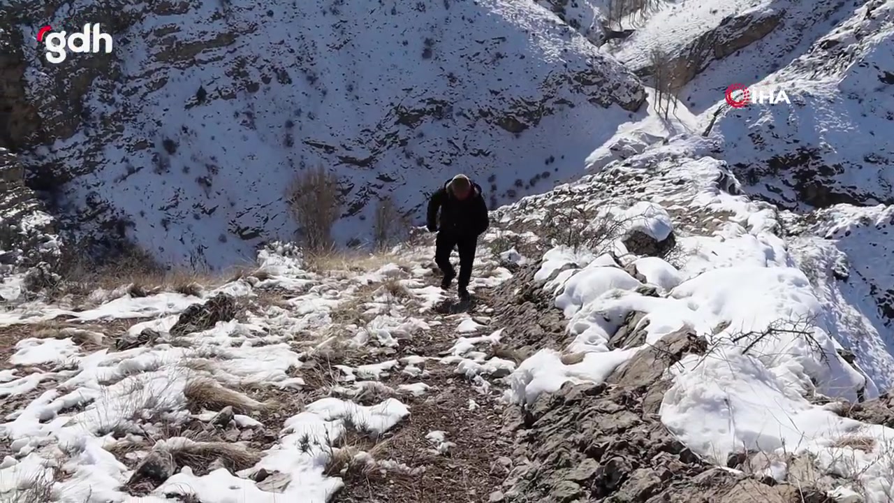 'Yalnız Kurt' Nizam Kul, koşarak dağa çıkıp uluyor