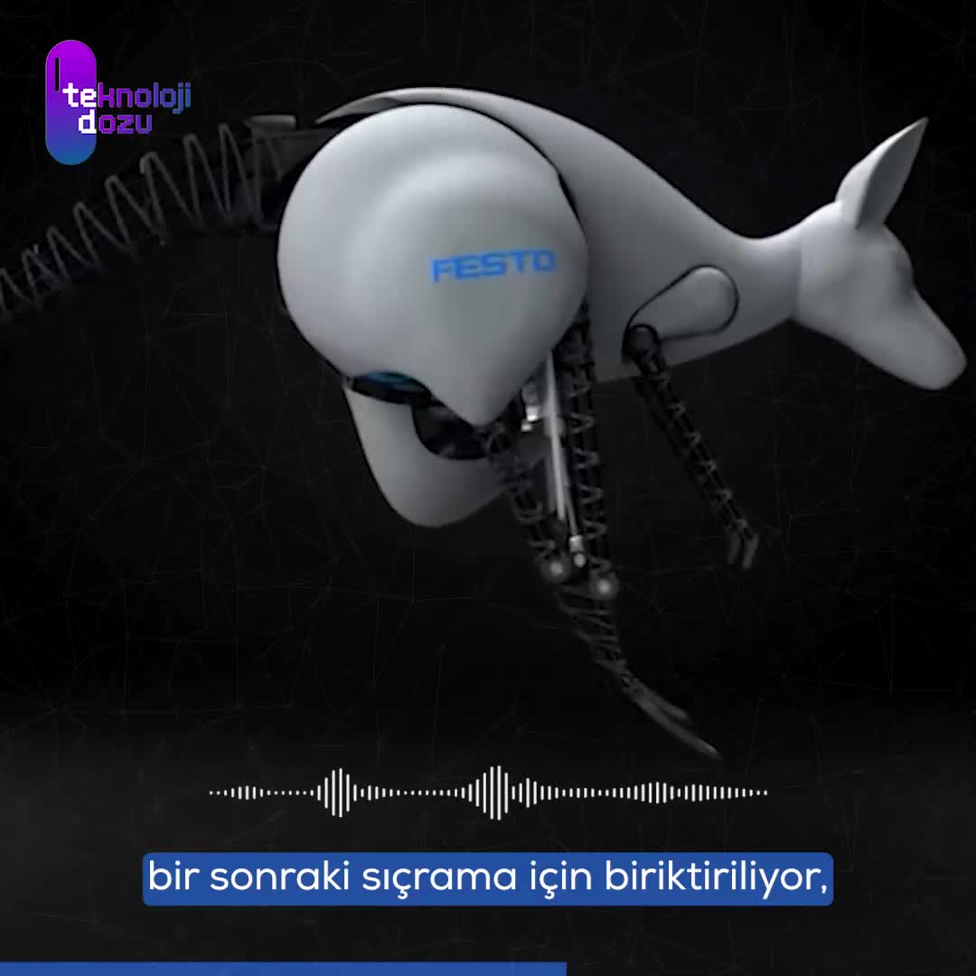 Doğadan esinlenen kanguru robot: BionicKangaroo