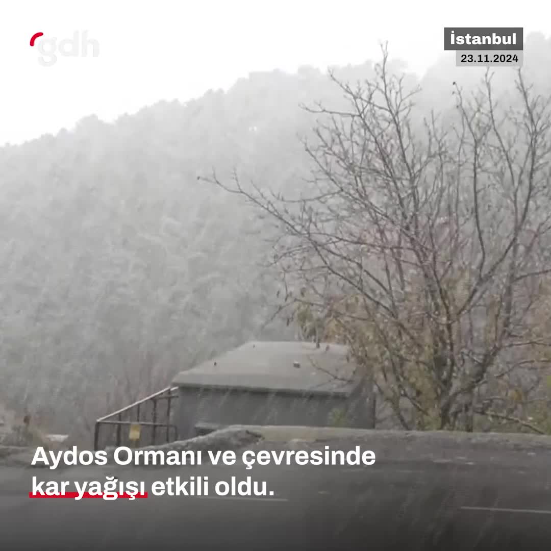 İstanbul'da kar yağışı Aydos Ormanı'nda başladı