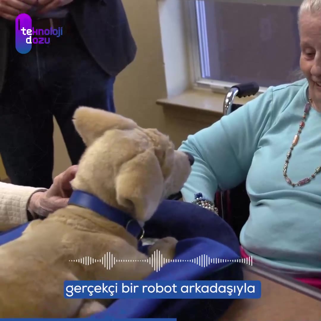 Geleceğin dostları: Robotik evcil hayvanlar!