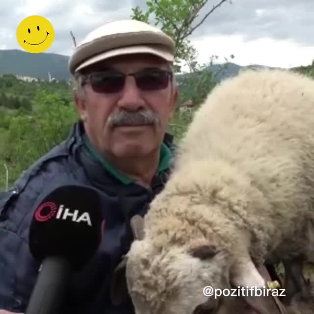 70 yaşındaki Ali Amca, hastalık sonrası küçükbaş hayvanlarla yeniden hayata bağlandı