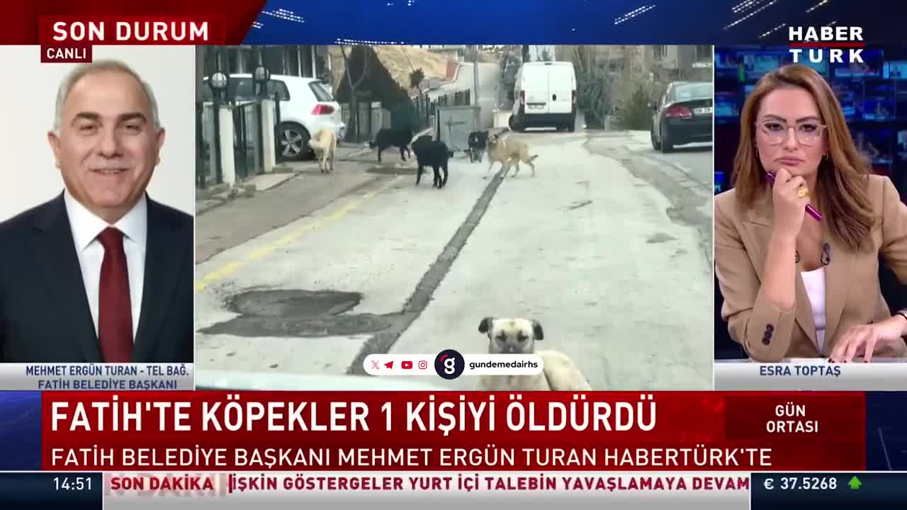 Fatih Belediye Başkanı köpek saldırısını değerlendirdi