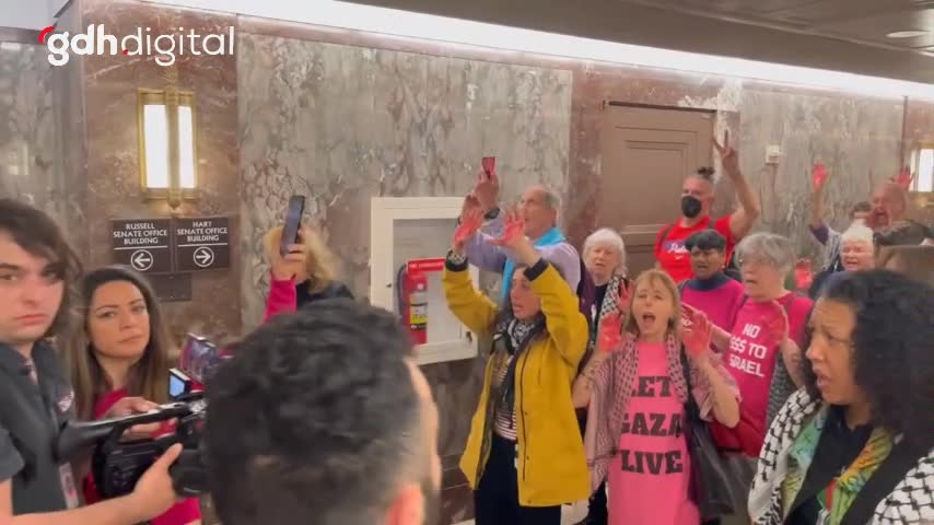 Kod Pembe, Senato'da Gazze için protesto etti
