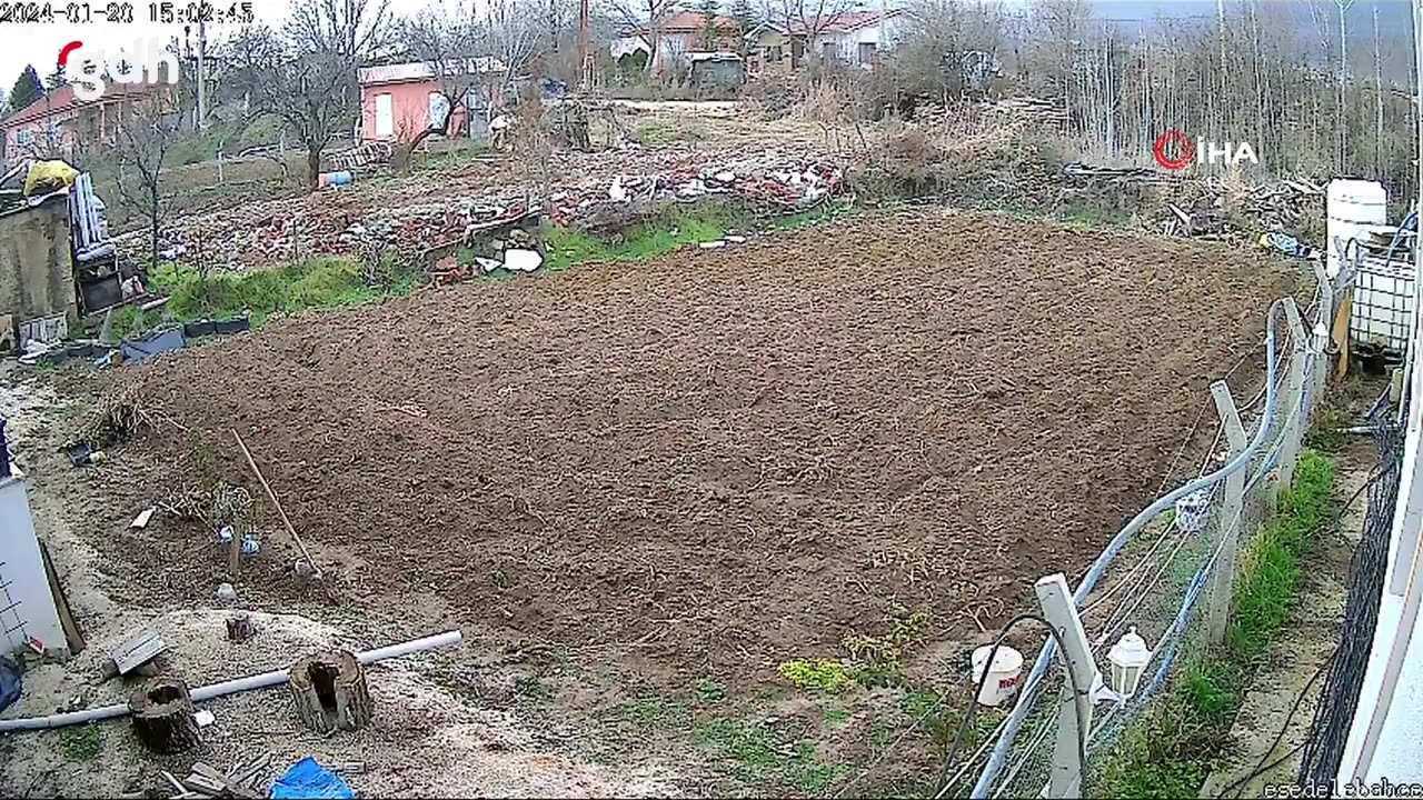 Elazığ’da başıboş köpeğin kümesten tavuk çalması anları