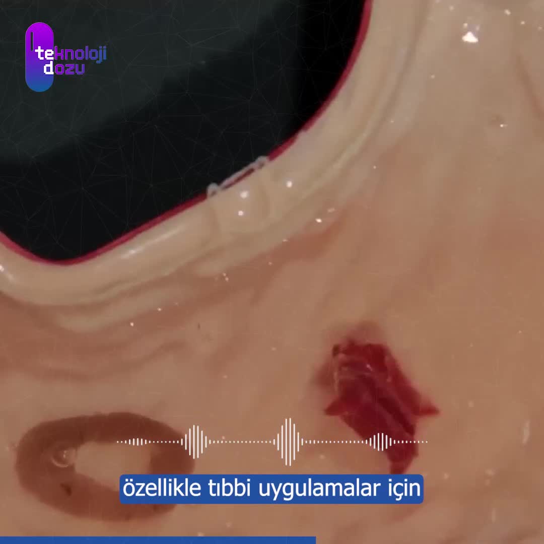 Katlanabilir Origami Robot: Dar alanlarda büyük işler!