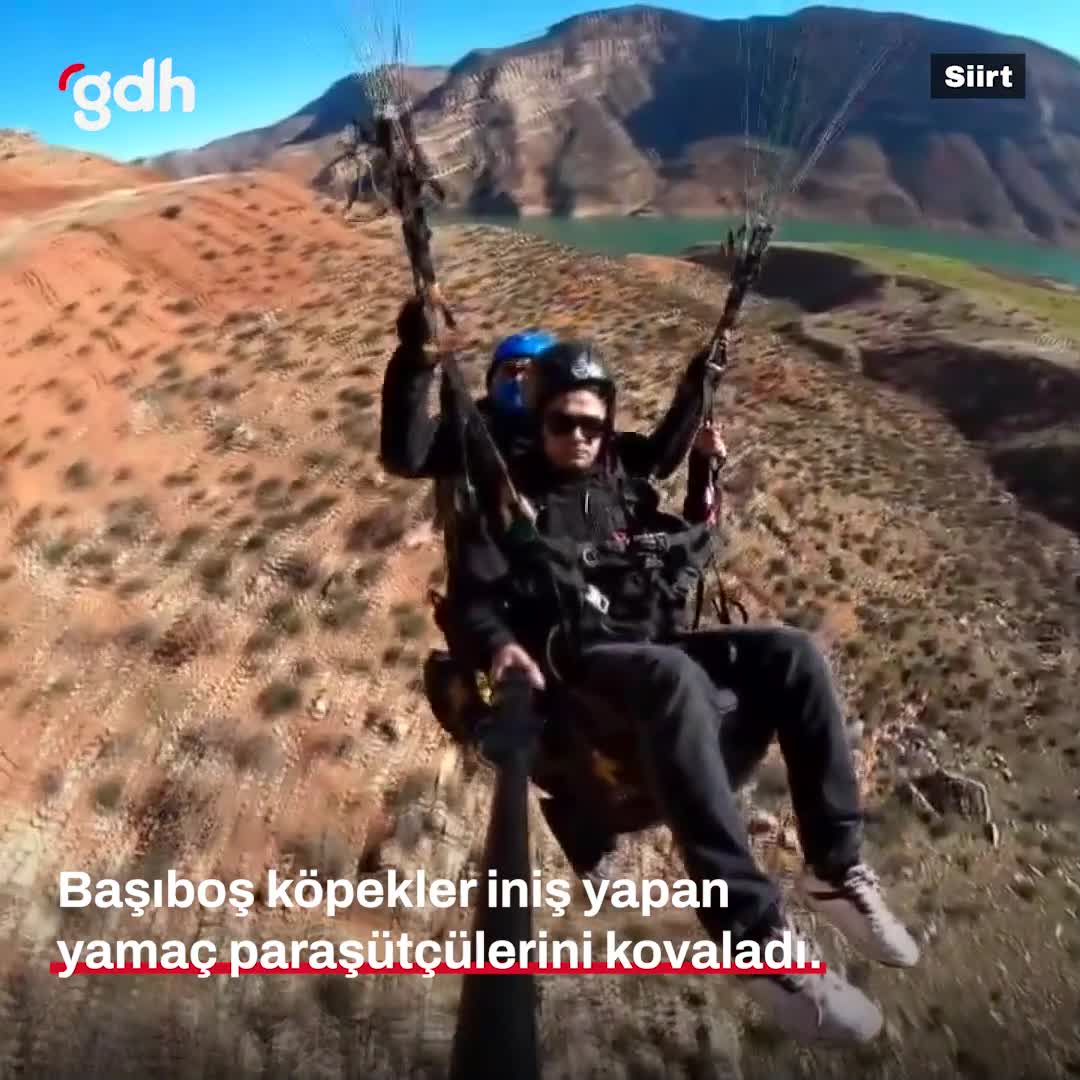 Siirt'te paraşüt atlayışında köpekler saldırdı