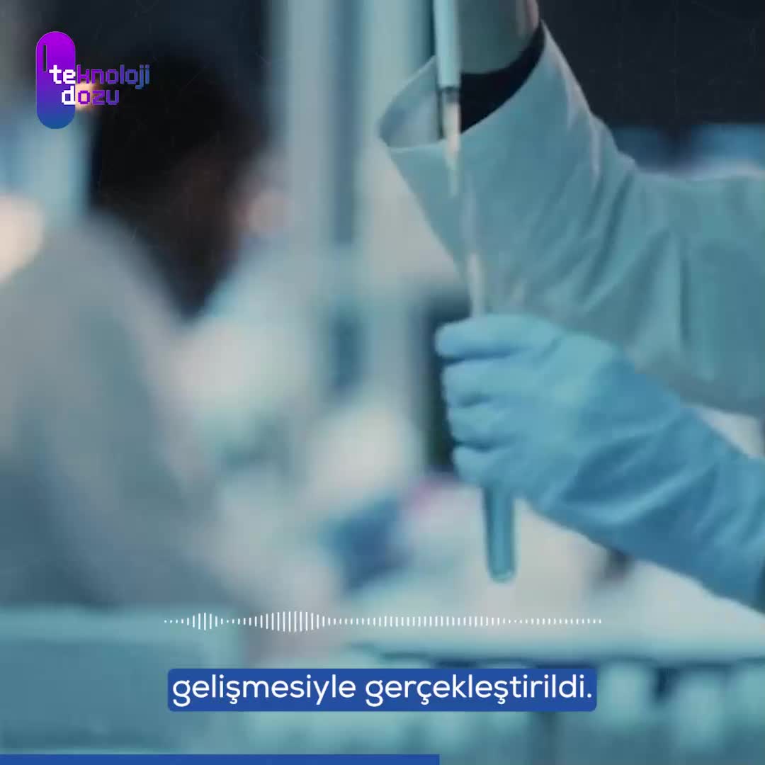 Dünyanın İlk Klon Kedisi: Garlic ve Geleceği