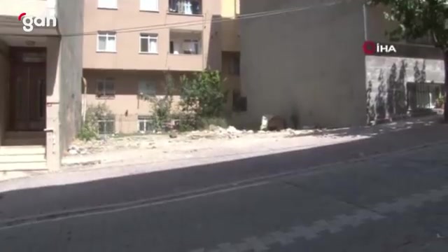 Kadın, sokak köpeklerinin toplanmasına öfkelenip ortalığı karıştırdı
