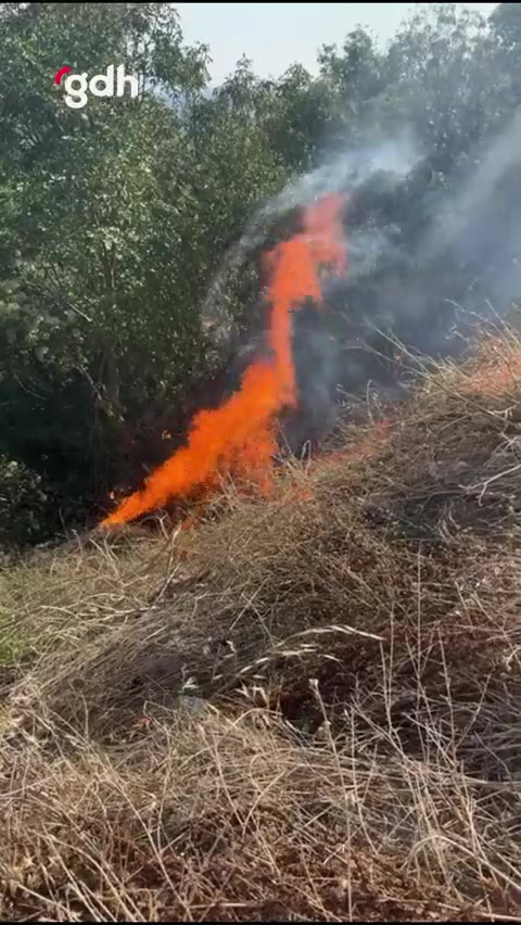 Bursa İznik Mustafalı Köyü'nde orman yangını çıktı
