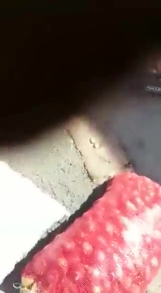 Adana Belediyesi zabıtaları, yaşlı sebze satıcısına saldırdı