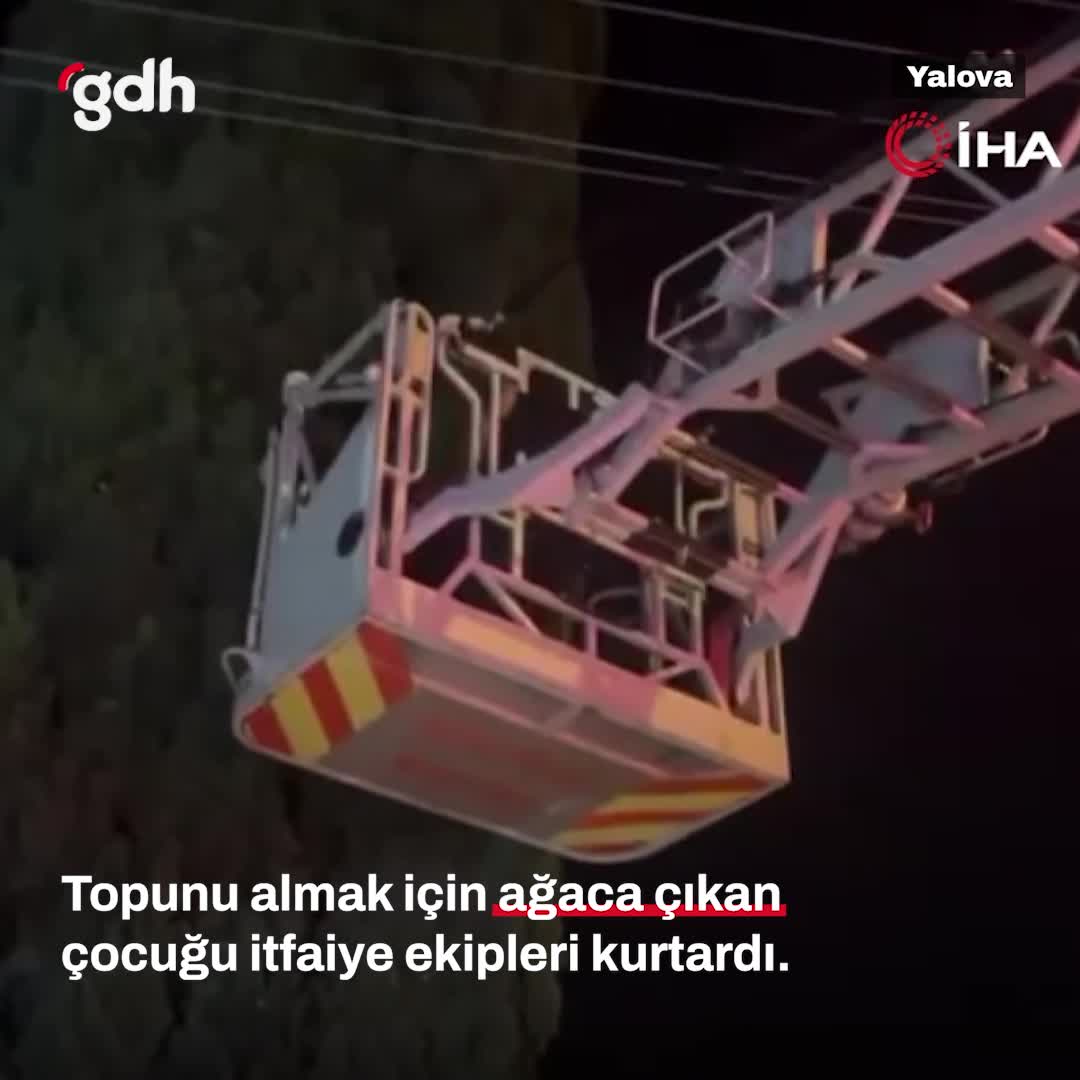 Yalova'da ağaçta mahsur kalan çocuk itfaiye tarafından kurtarıldı