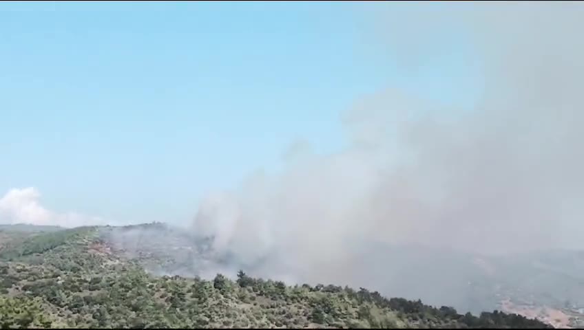İzmir'in Bayındır ilçesinde orman yangını çıktı