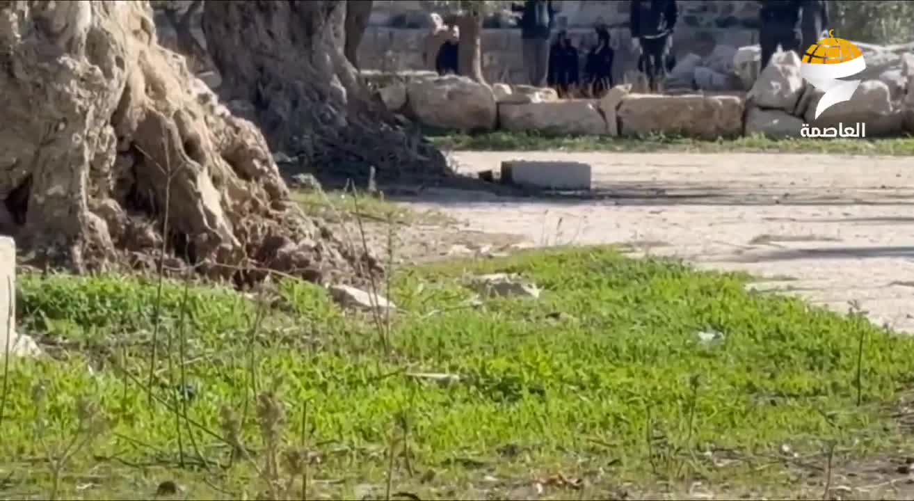 Yahudi yerleşimciler, Doğu Kudüs'te Mescid-i Aksa'ya baskın yaptı