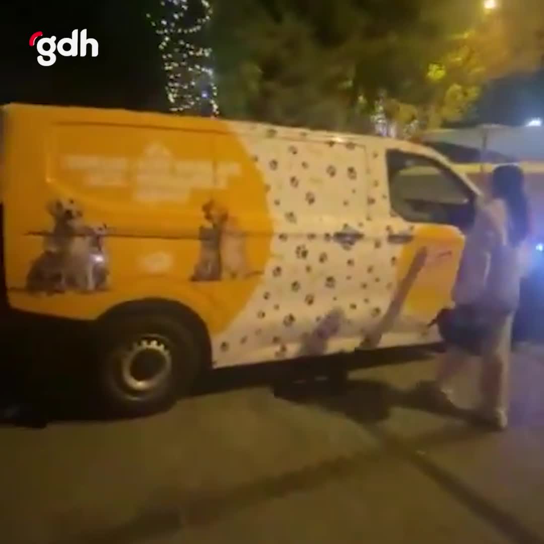 Fatih'te hayvansever grup, belediyenin köpek müdahale aracına saldırdı