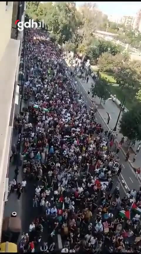 Valencia'da binlerce İspanyol, Filistin'e destek gösterisi yaptı
