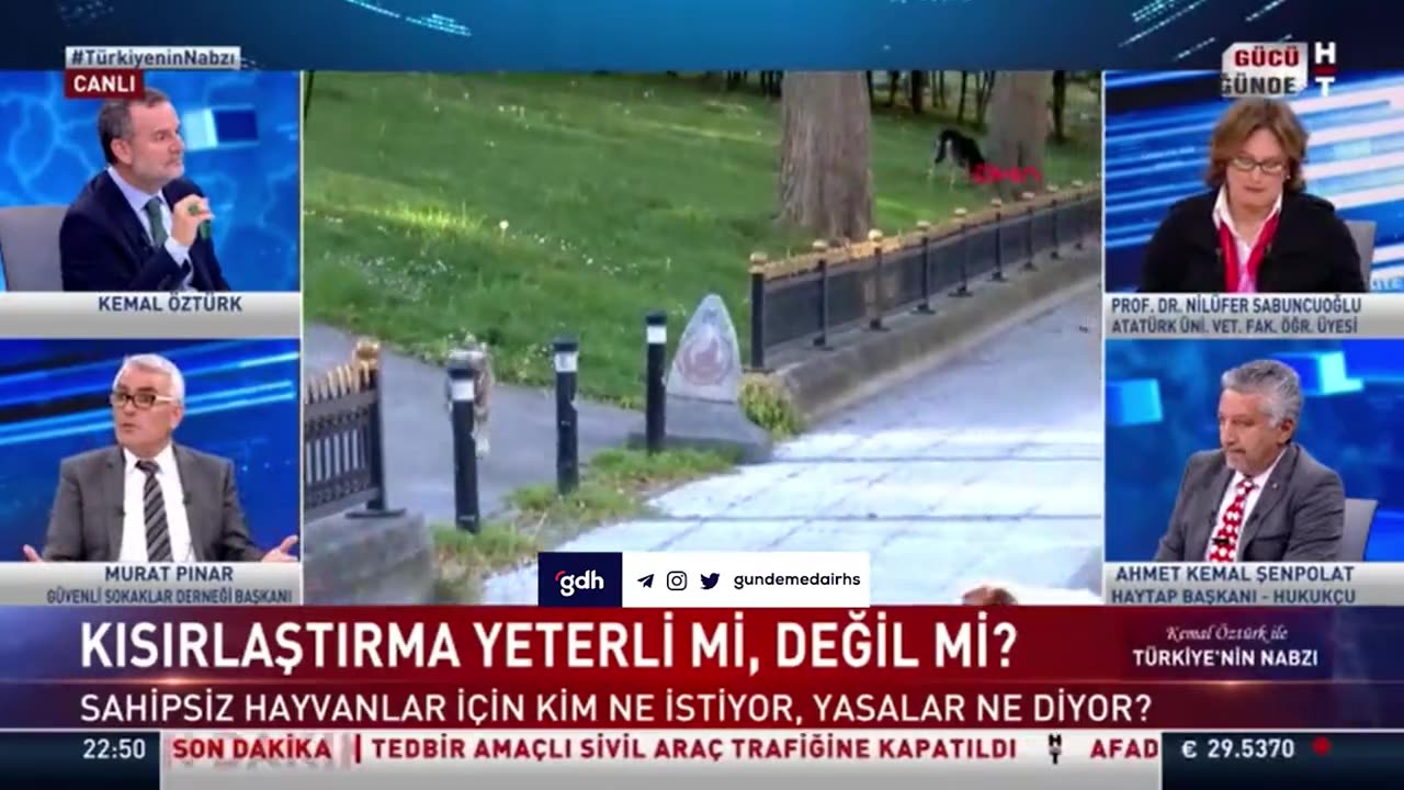 Köpekler ve suçlular: tartışmalı benzetme!