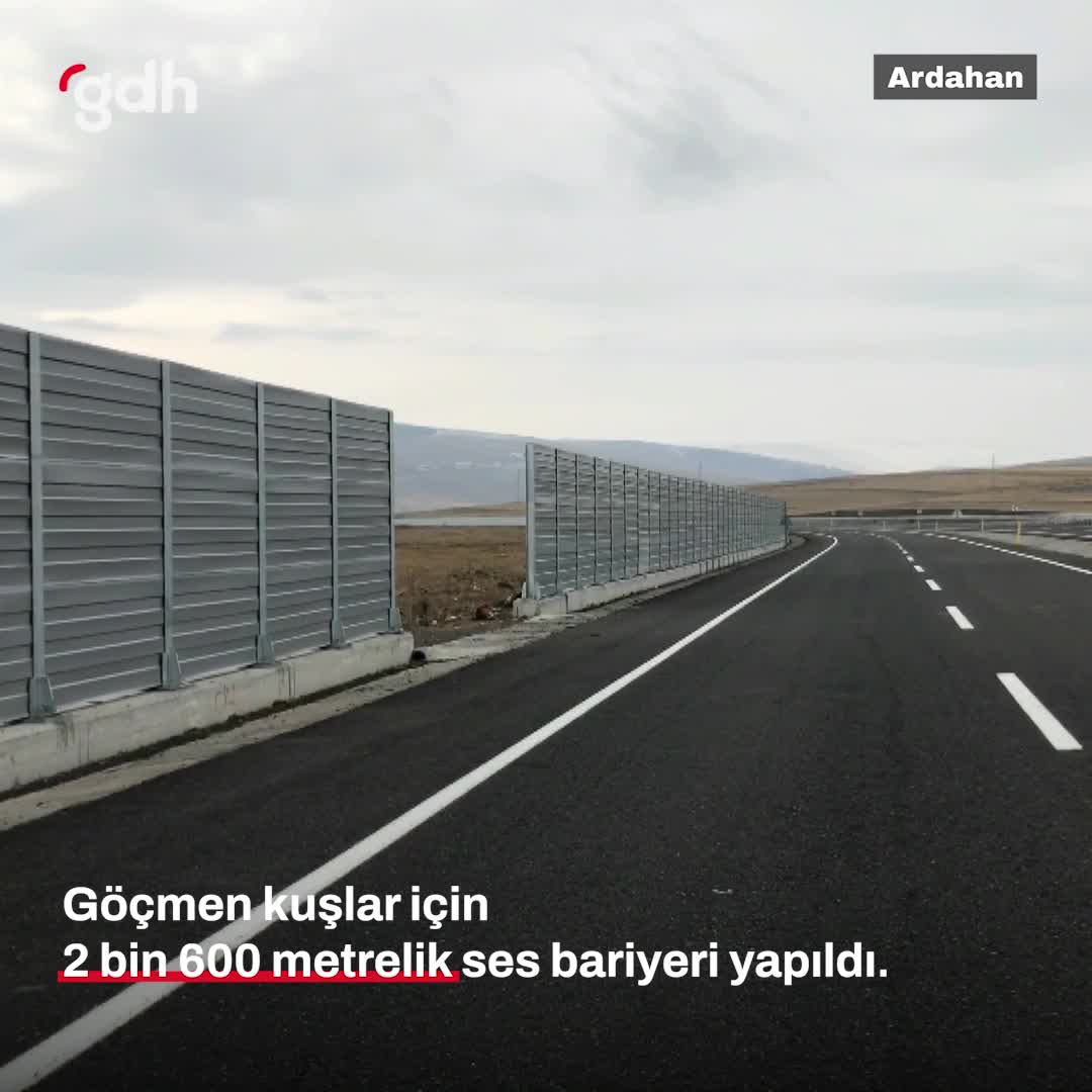 Ardahan'da göçmen kuşlar için yola ses bariyeri yapıldı