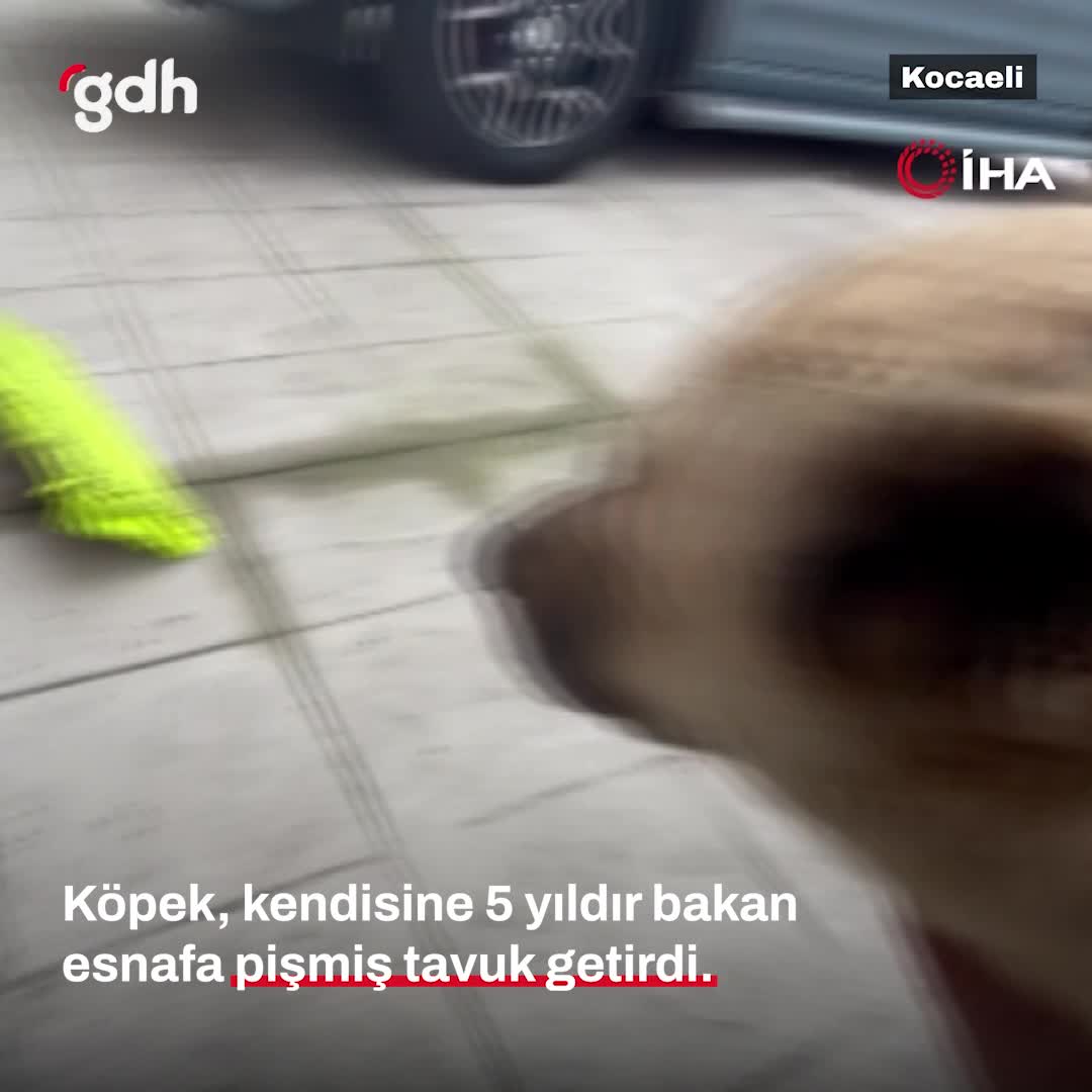 Kocaeli'de Ares, esnafına 5 yıldır tavuk getirdi