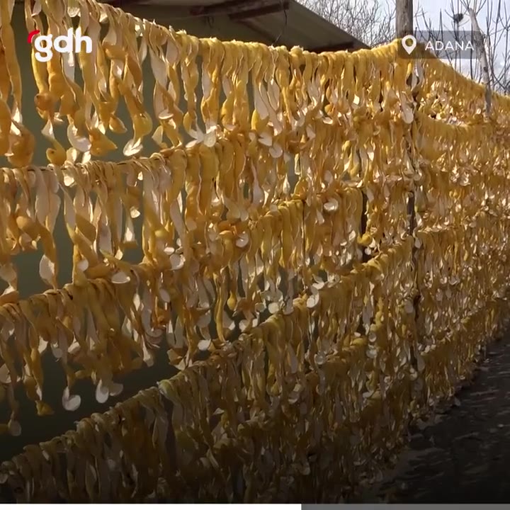 Kozan'da atıl limonlar ekonomiye kazandırılıyor: 3 TL'den 18 TL'ye!
