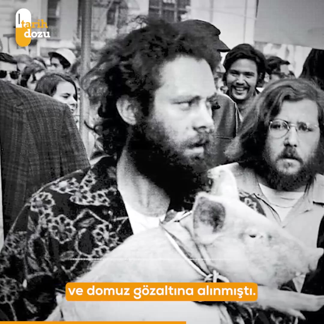 Pigasus: 1968 ABD başkanlık seçimlerindeki ilginç adaylık