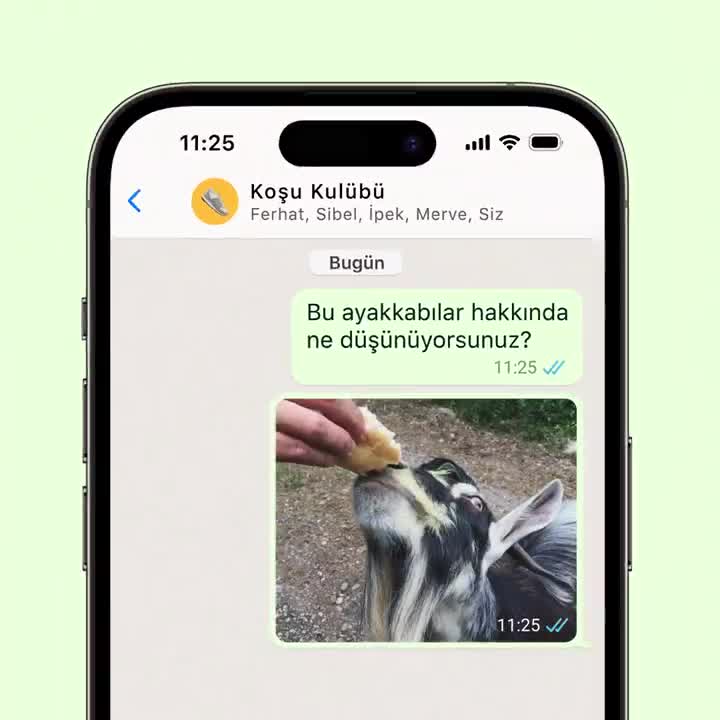 WhatsApp’a "benden sil" işlemini geri alma özelliği geldi
