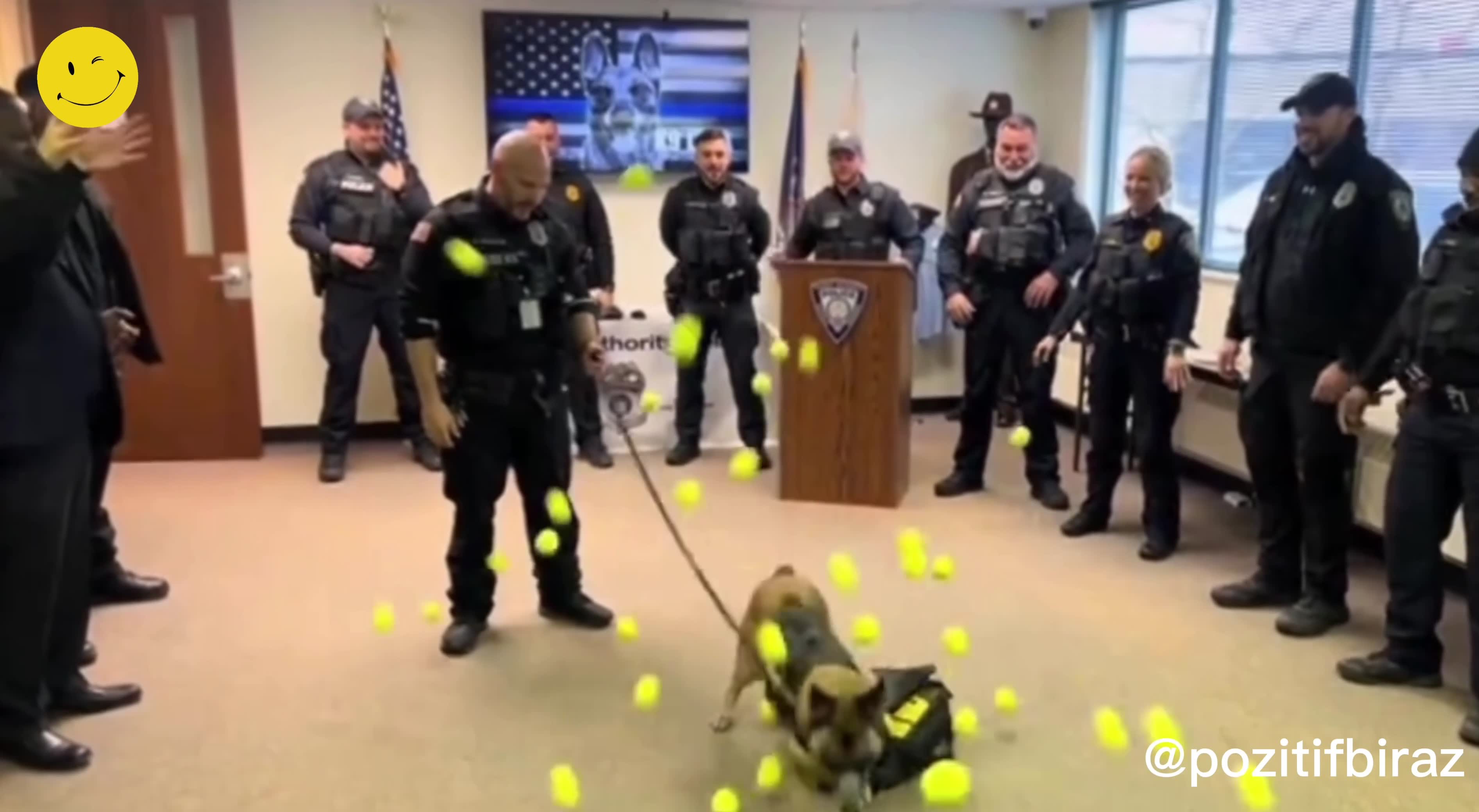 K-9 köpeği Lyka, tenis toplarıyla emekli oldu