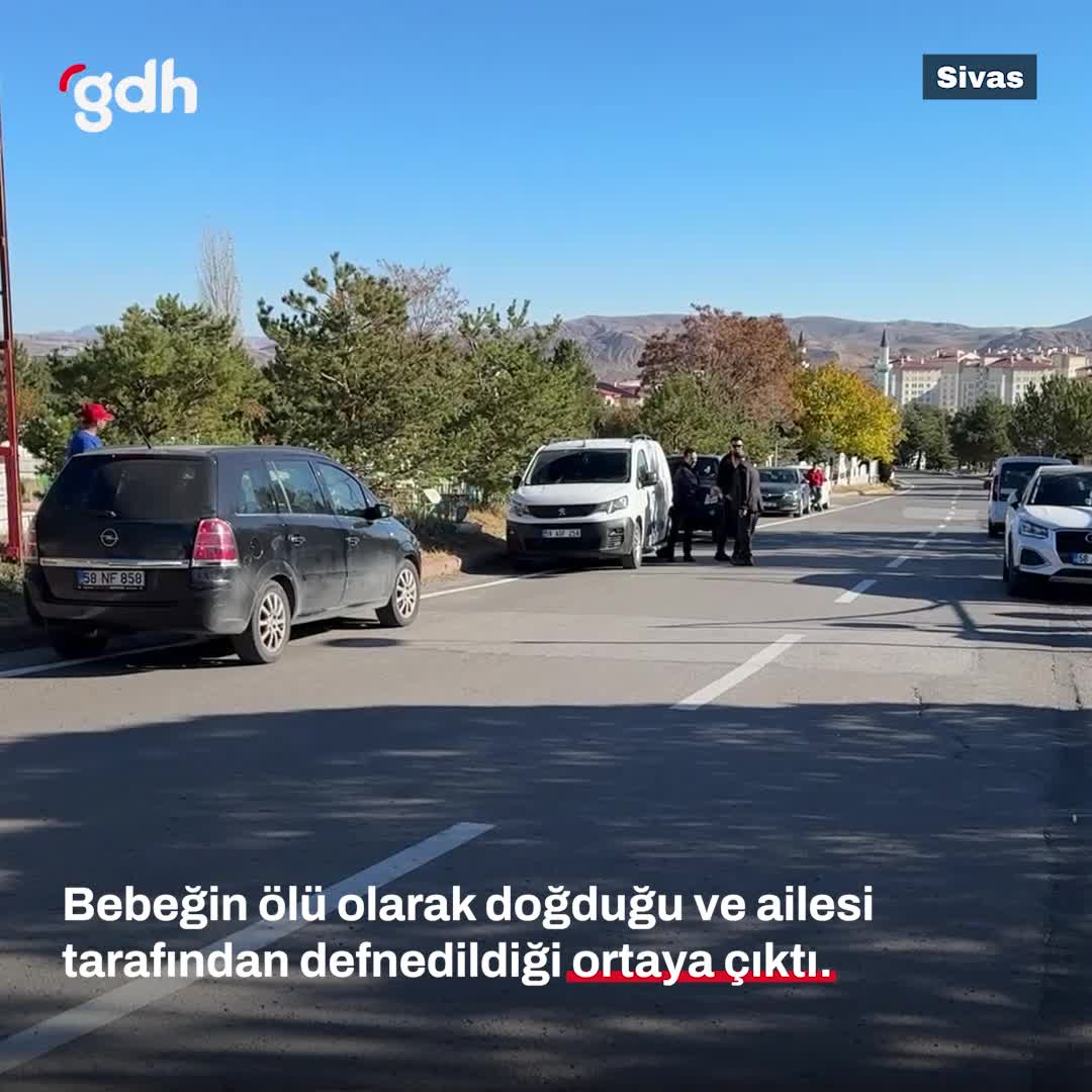 Sivas'ta ölü doğan bebeği sokak köpekleri mezarından çıkardı