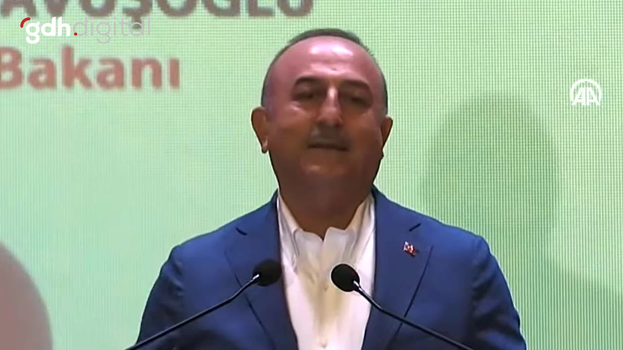 Çavuşoğlu: Kolektif zekaya liderlik eden vizyoner isimler