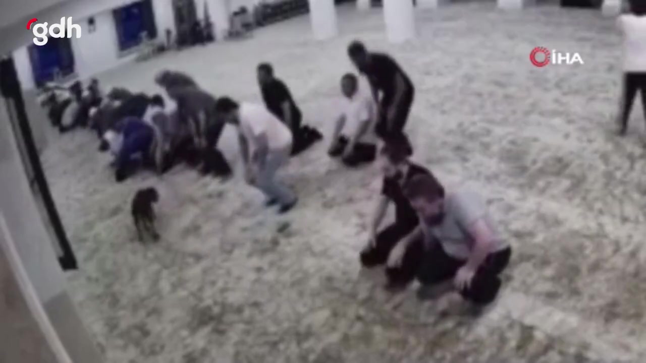 İbadethanelerde başıboş köpekler, namazı zorlaştırdı!