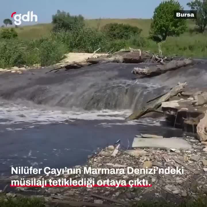 Nilüfer Çayı, Marmara'daki müsilajın nedeni belirlendi