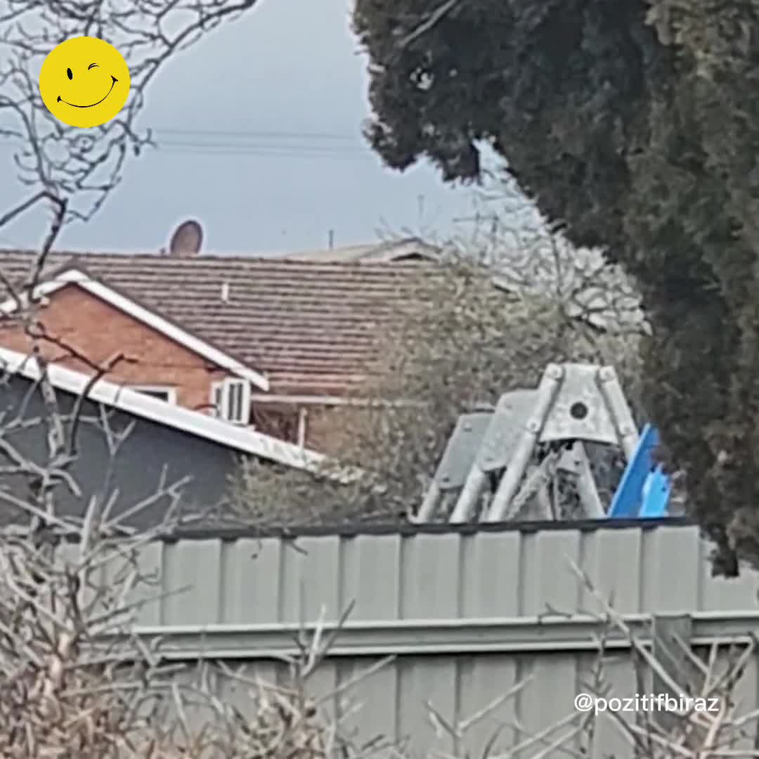 Avustralya'da bir adamın salıncakta eğlendiği anlar kaydedildi