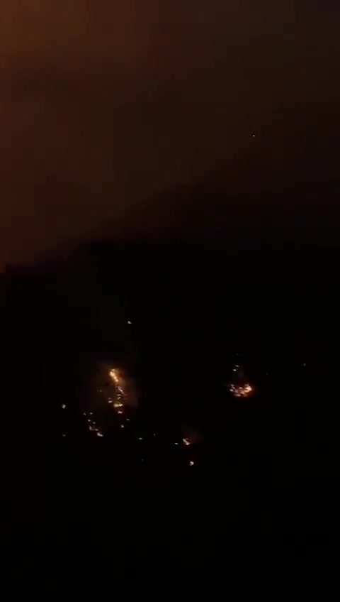 Hatay'da öğle saatlerinde başlayan orman yangını kontrol edilemiyor