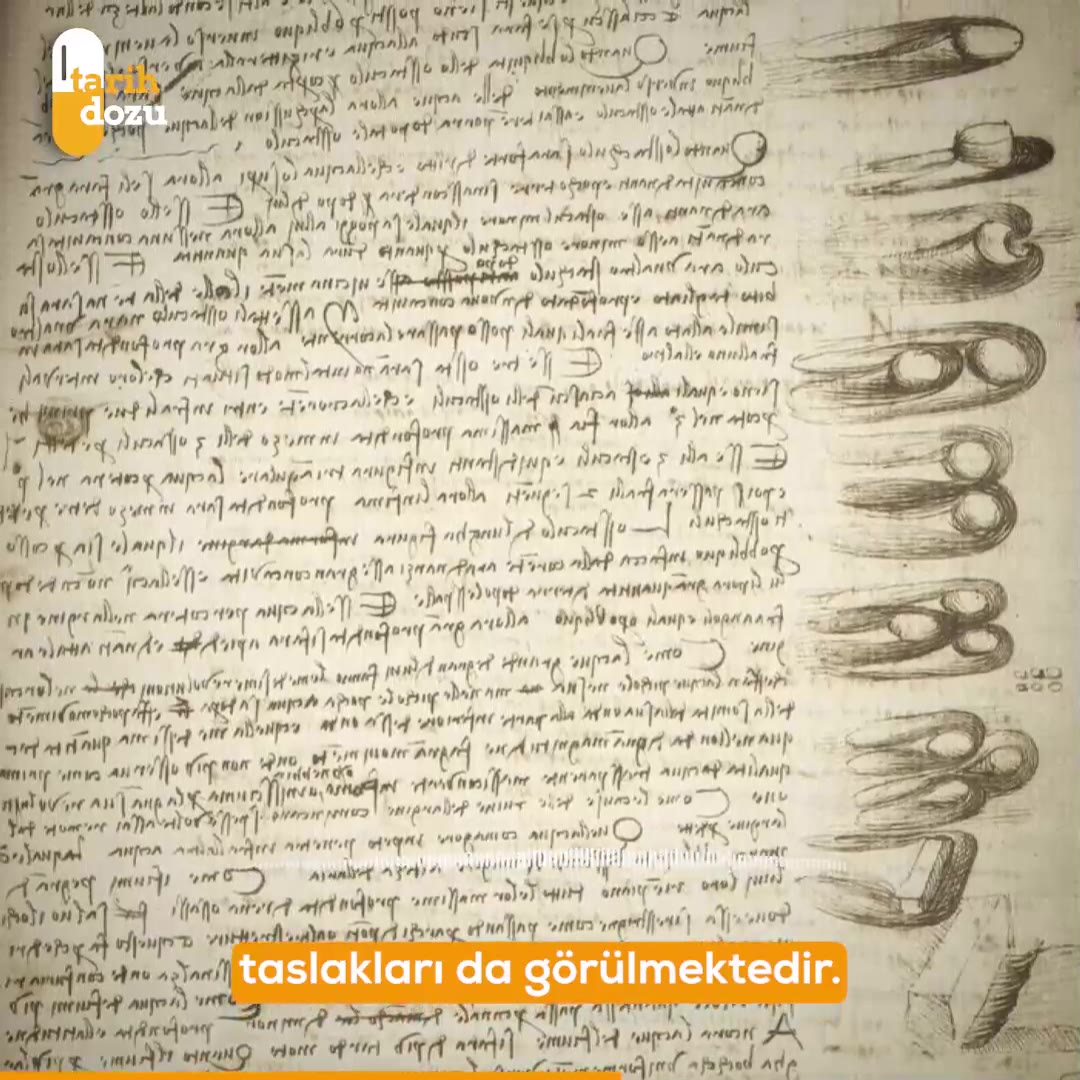 "Codex Leicester": Dünyanın en pahalı kitabının hikayesi