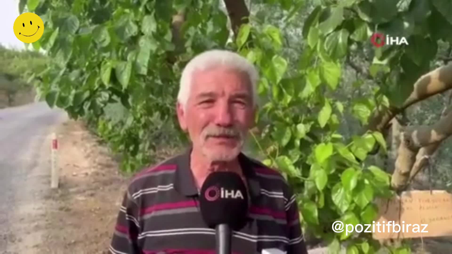 Bursa'da ağaç altına "Dut yemek helal, yememek haram" yazdı