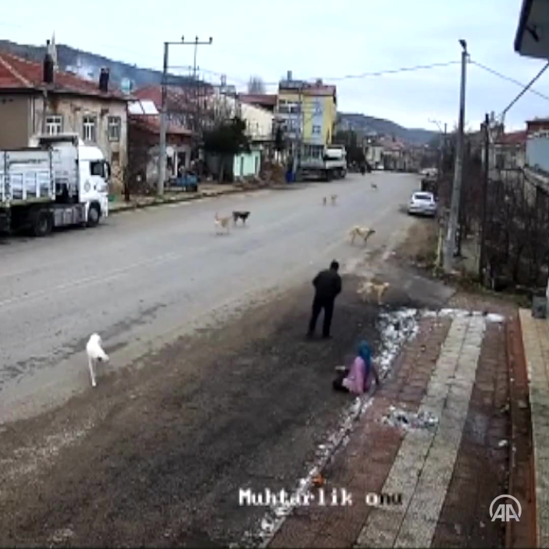 Konya'da kadın köpek saldırısına uğradı, yardım çağrısı yaptı