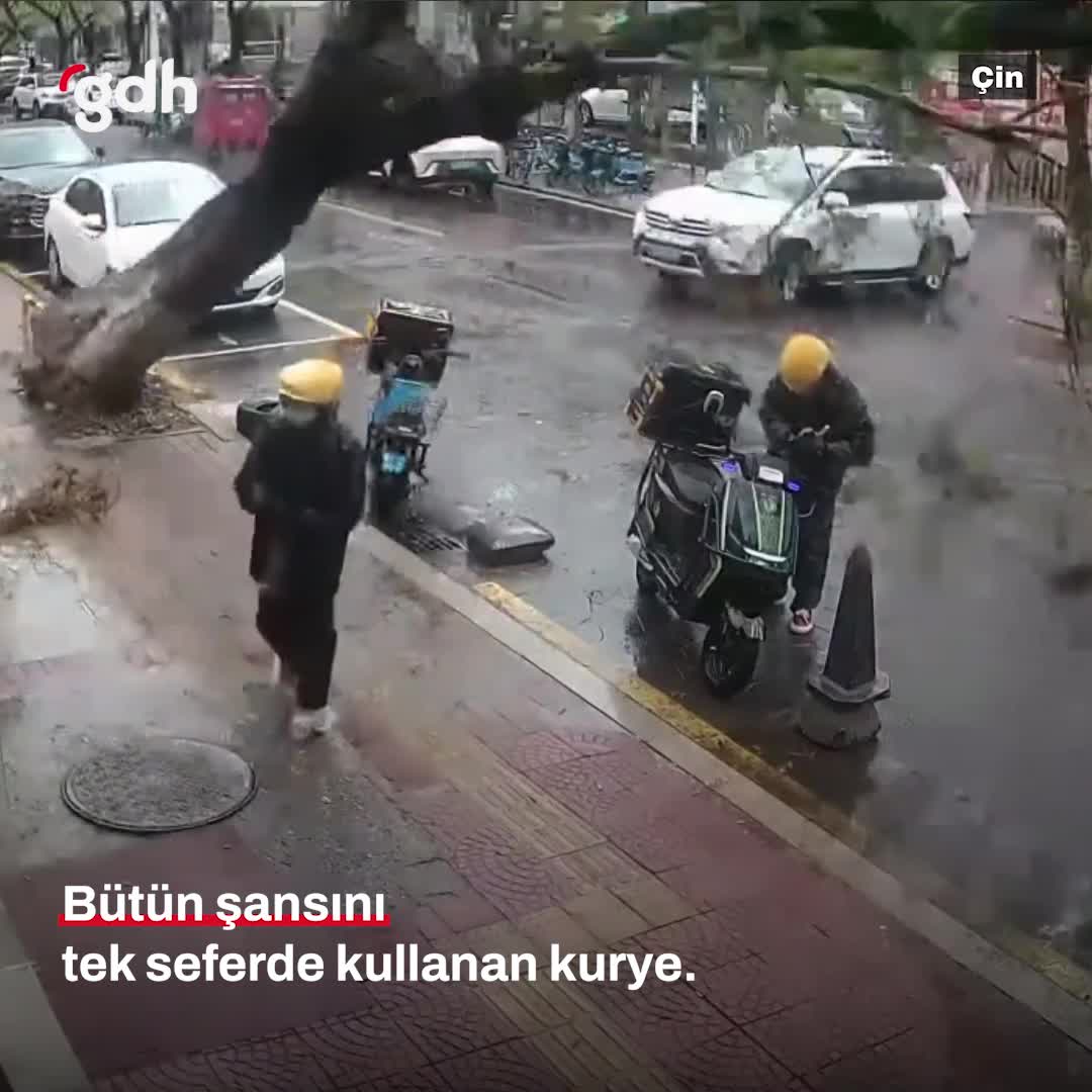 Rüzgarla devrilen ağaçtan kuryenin son anda kurtuluşu