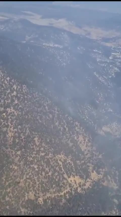 Bolu Göynük'teki orman yangını kontrol altına alındı