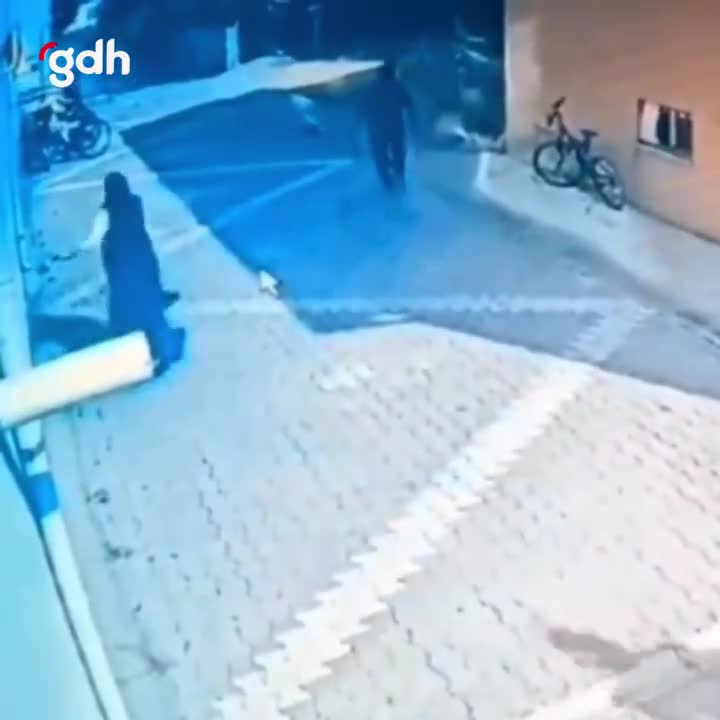 Seydişehir'de başıboş köpekler lise öğrencisine saldırdı