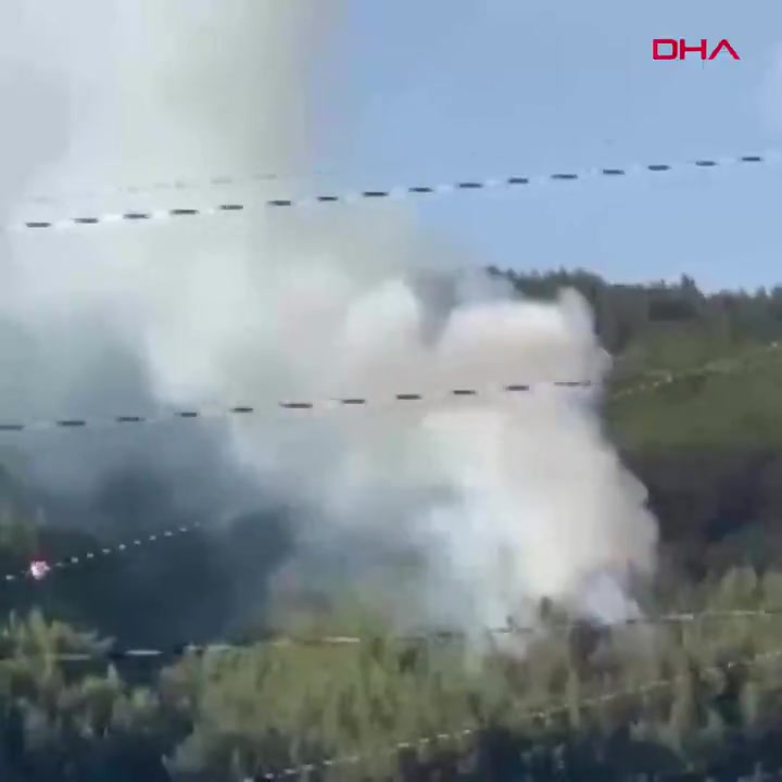 Muğla'da orman yangını çıkaran Fırat K. gözaltına alındı